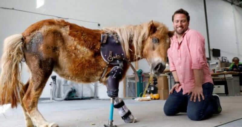 Meet Derrick Campana, Hero Of Thousand Animals, Who Makes Prosthetic Legs To Help Them Walk Normally Again