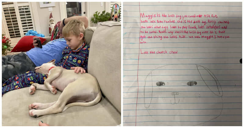 Little Sweet Boy Leaves Notes For His Foster Dog’s New Family, Saying She’s The Best Dog Ever