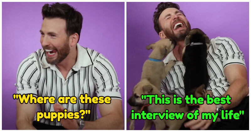 Chris Evans Finally Took The Puppy Interview