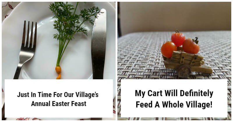 14 Most Hilarious Posts From People Trying To Grow Their Own Food And Failed Miserably