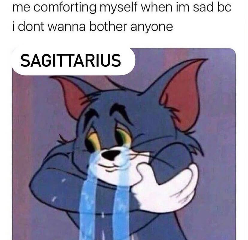 Sagittarius memes 