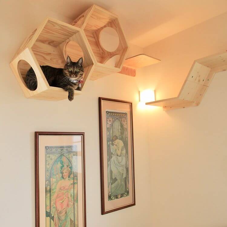 cat house ideas