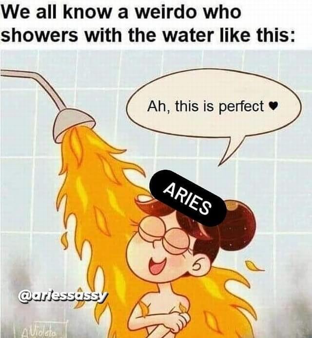 20 Funny Aries Memes That Are So True It Hurts