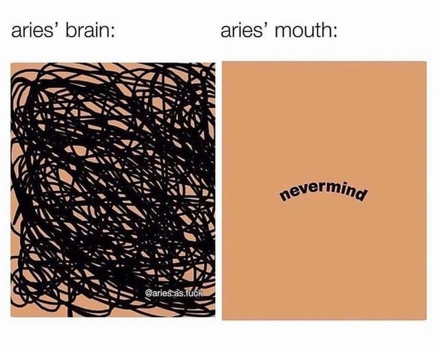 20 Funny Aries Memes That Are So True It Hurts