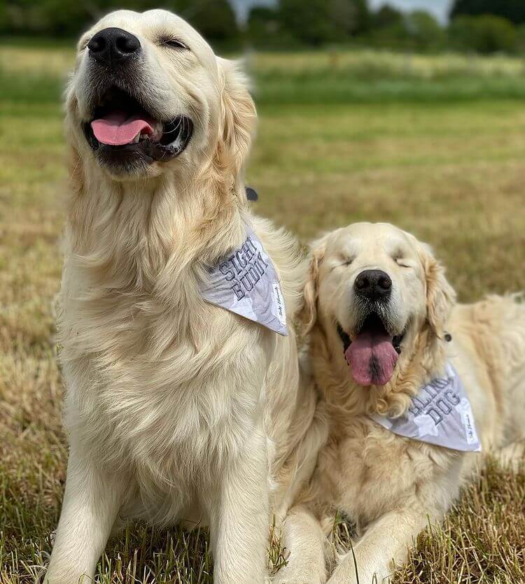Blind Dog and his best friend 