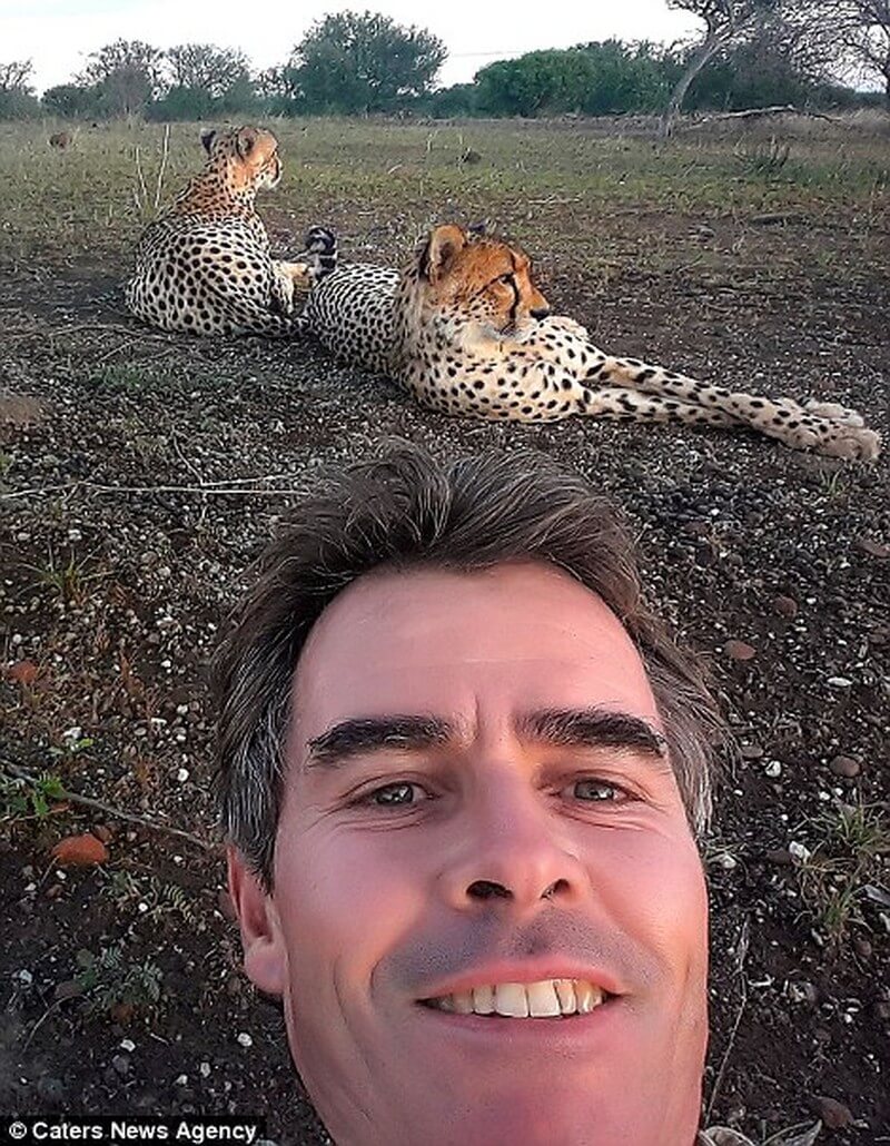 Jaguar licks photographer's toes