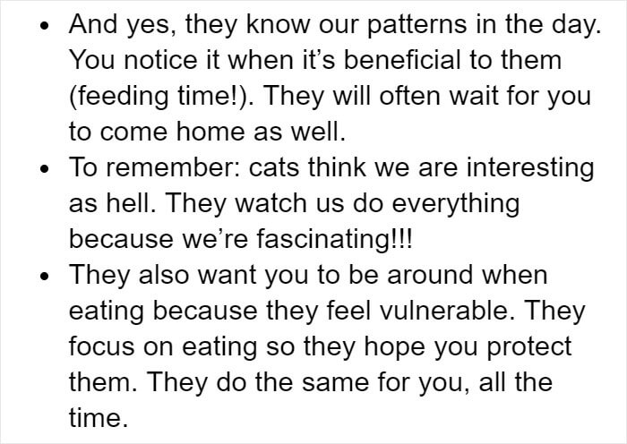 pet owners' explanations
