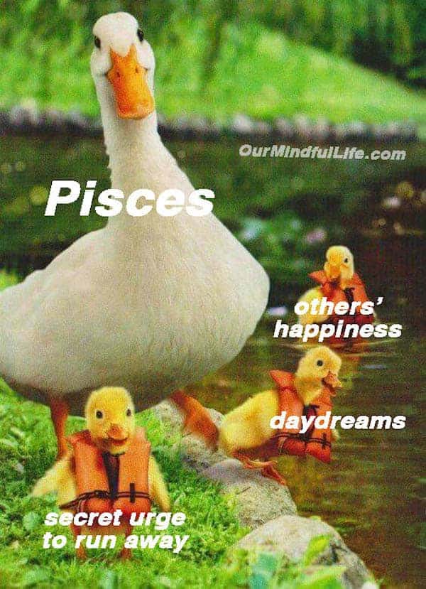  Memes About Pisces