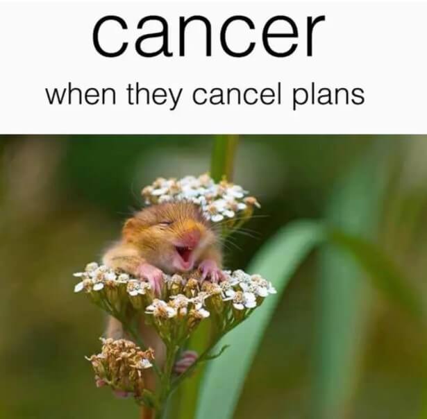 Even though we all know Cancers love to flake