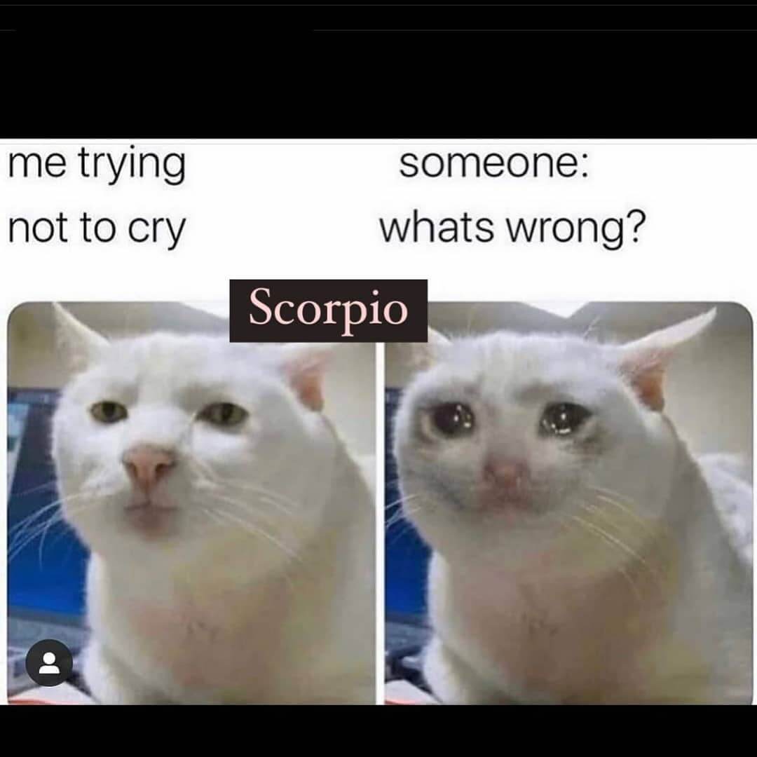 scorpios are evil