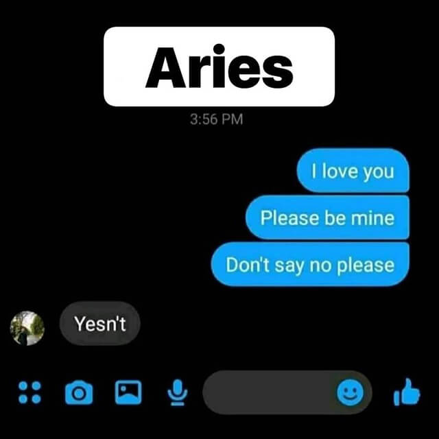 memes about aries woman