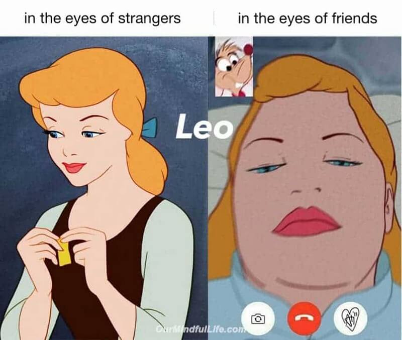 Loving A Leo Meme