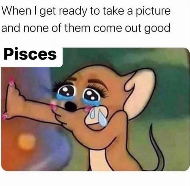 personality pisces memes