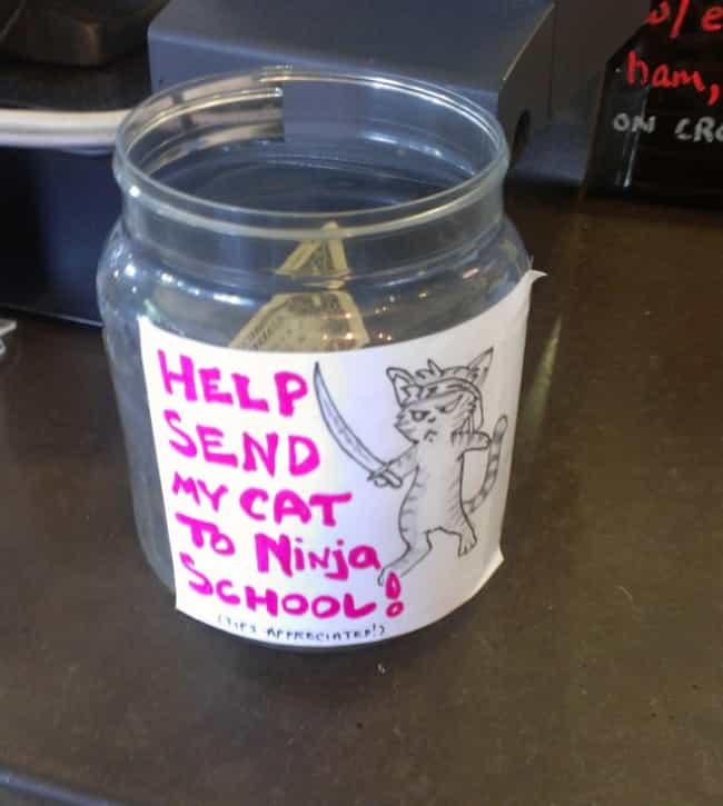 23 Funny And clever tip tip jar ideas That Will Definitely Earn Your Quarters