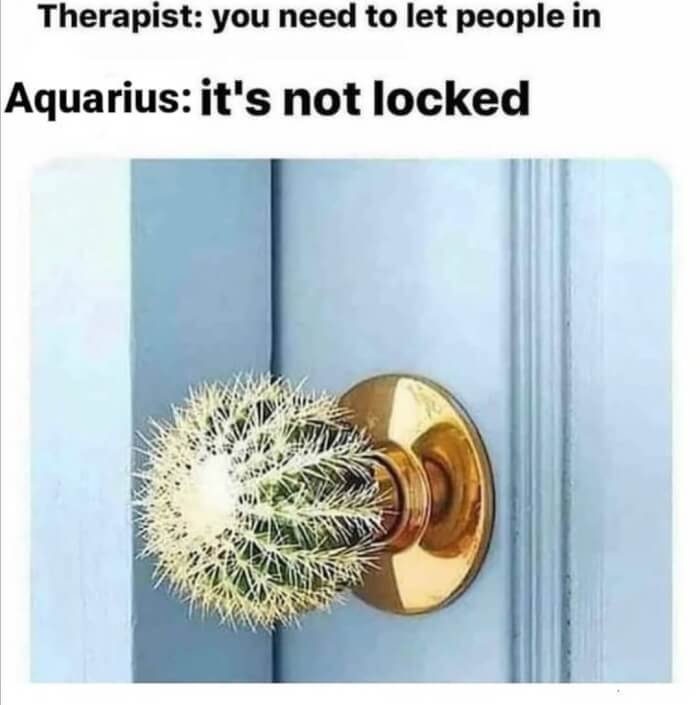 aquarius introvert
