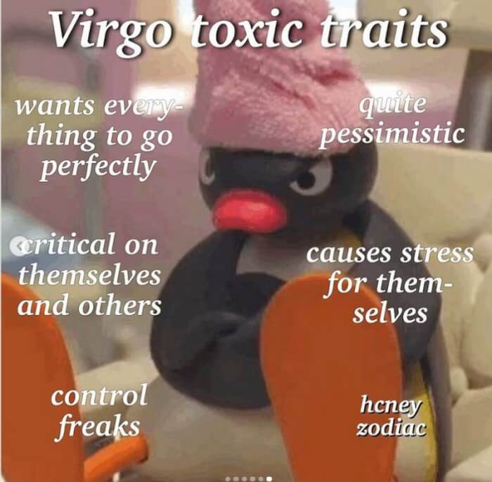 Uncover Virgo Toxic Traits Through 15 Humorous Memes