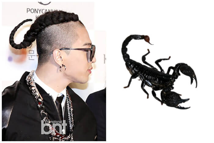 Taeyang scorpion hair