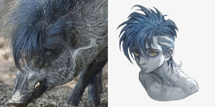 Animals Are Transformed Into Anime-Like Characters