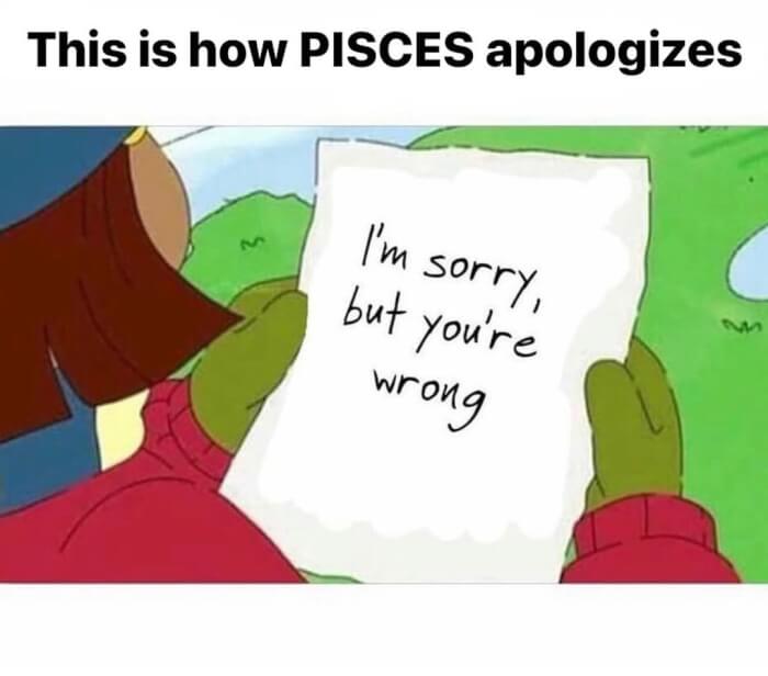 Explore 16 Hilarious Memes To Know How Pisces Apologize