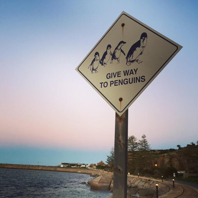 Funny Road Signs That Actually Exist