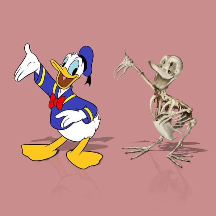 skeleton character