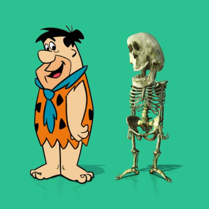 Fred (The Flintstones)