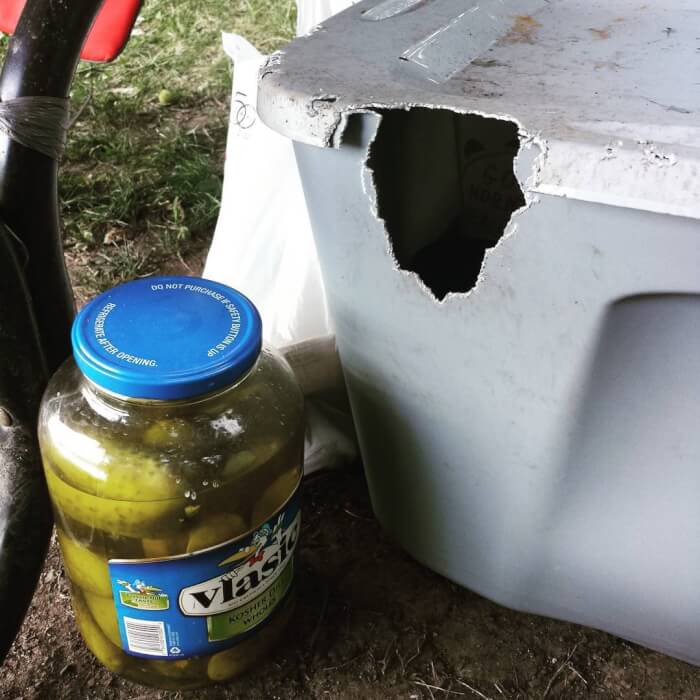 25 Hilarious Camping Fails That Indicate No Place Is As Cozy As Home