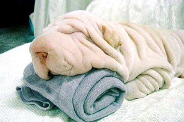 A Pile Of Towels