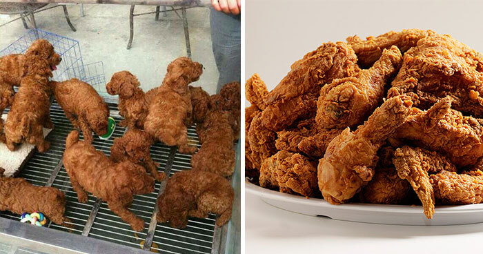 Wait...That's Not Fried Chicken