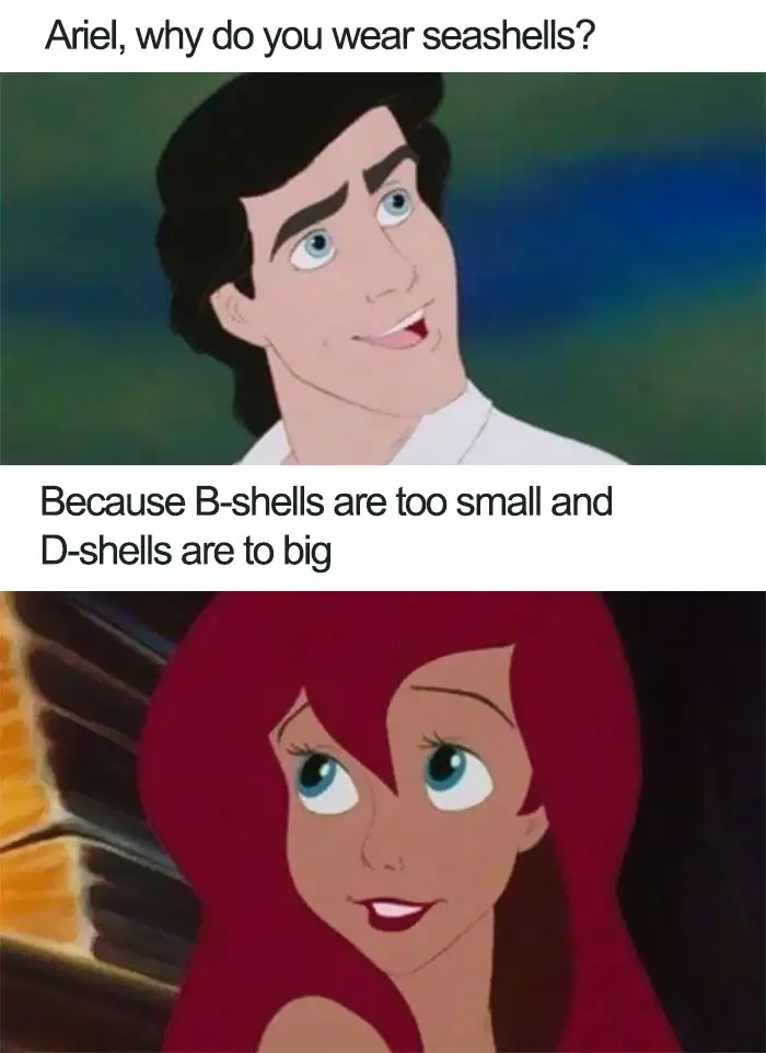 Humorous Disney Memes