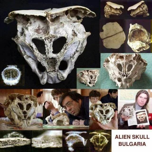 rhodope skull