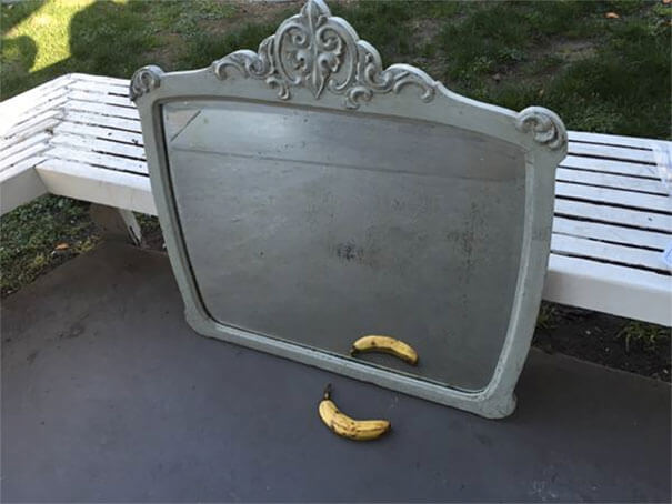 Banana for sales