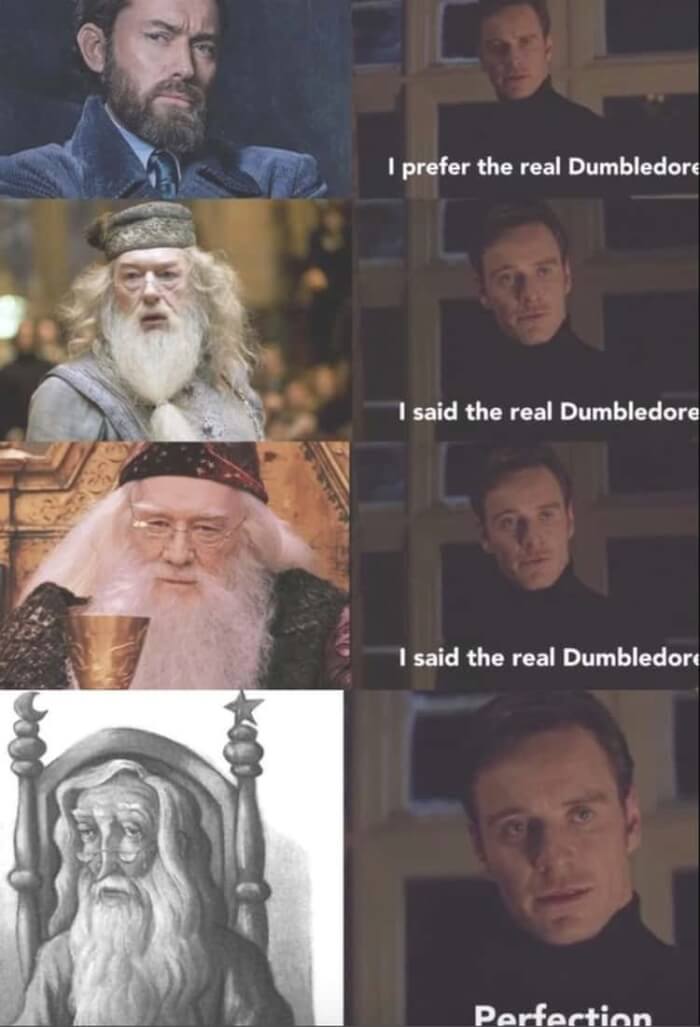 25 Hilarious Dumbledore Memes From Fans
