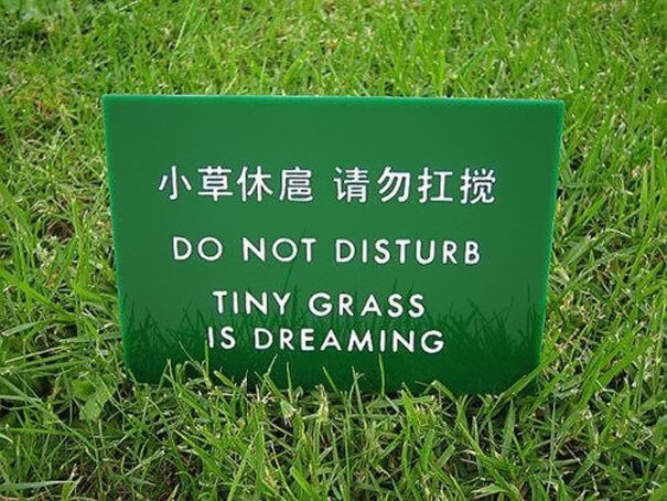 Chinglish you are the best!