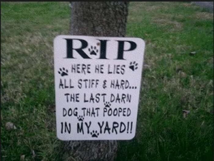 neighbors couldn t help but laugh at her yard sign