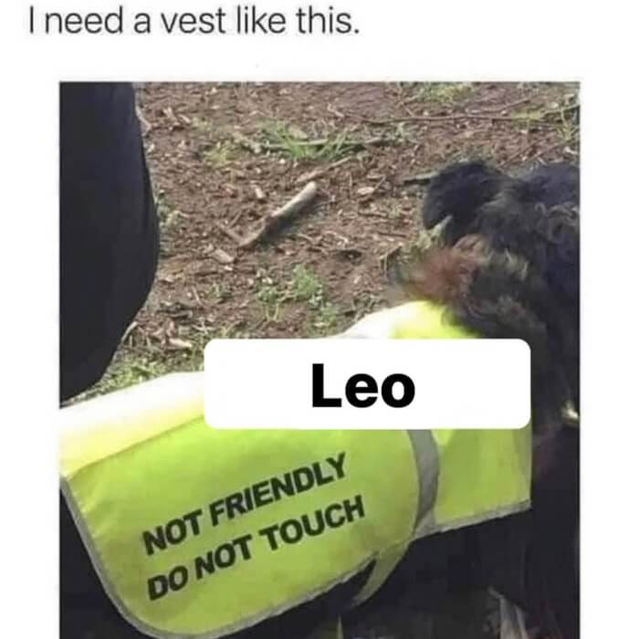 16 Funny Leo Memes, Remember to stick by it!
