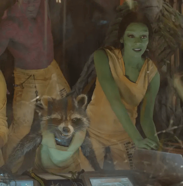 Pairs Of MCU's Actors, Rocket Raccoon and Gamora