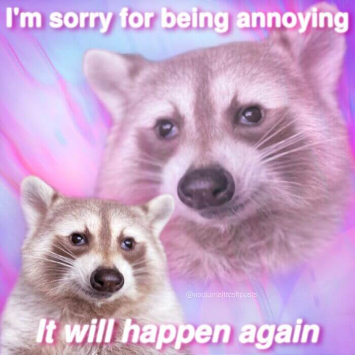 30 Of The Best Trash Panda Memes To Start Your Week With Positivity