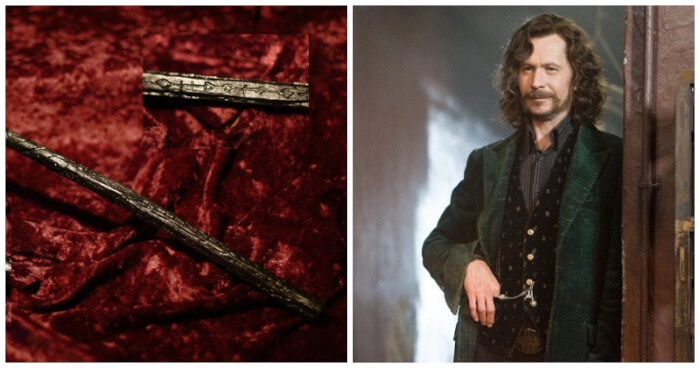 Most beautiful wand in Harry Potter
