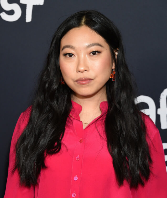Actors Started Their Career From Zero To Hero, Awkwafina