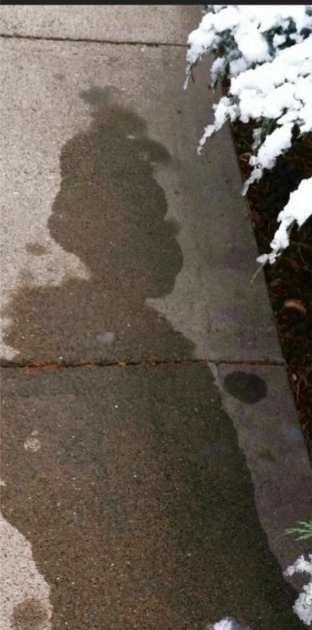 Melting snow looks like the Grinch