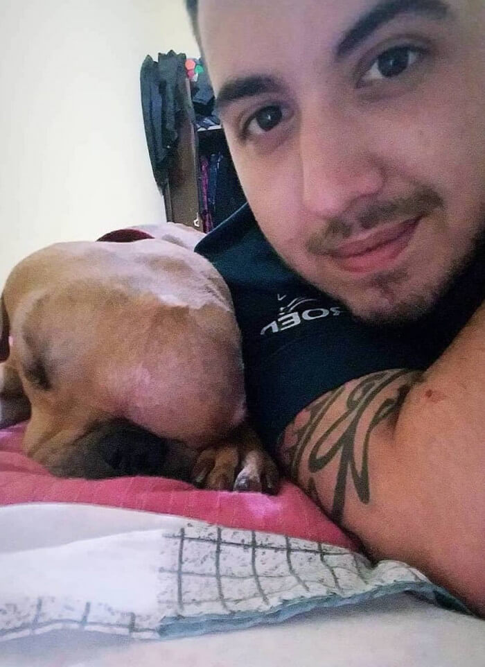man adopts dog with cancer