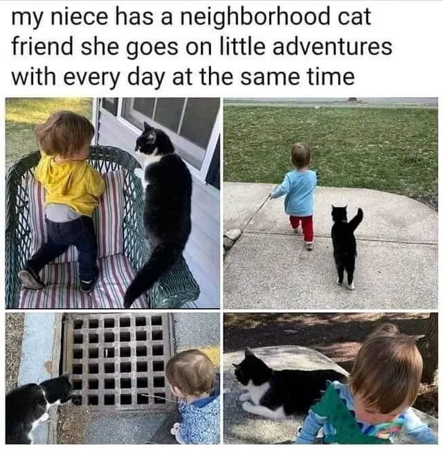 Wholesome Posts To Spread Good Vibes
