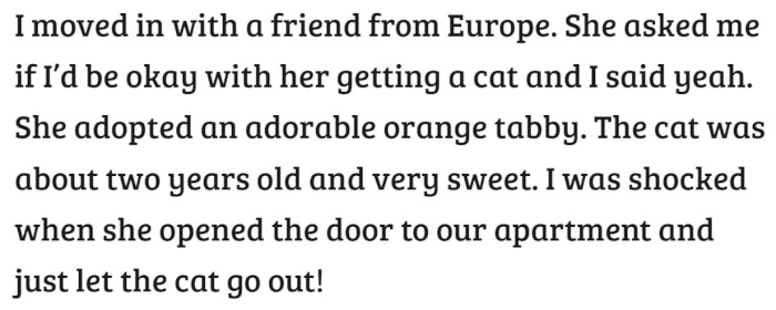 American Versus European Cat-Adopting Policy