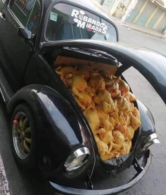 Chicken-powered car