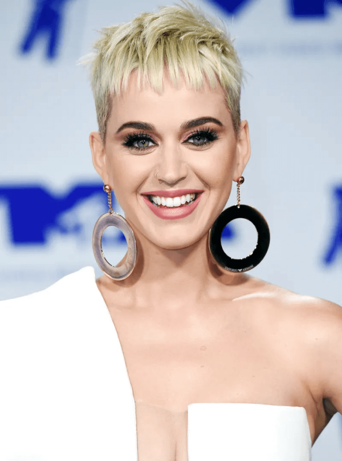 Celebrities Who Never Finished High School, Katy Perry