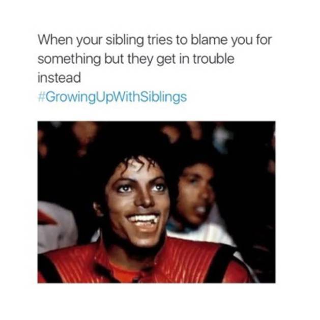 Family Memes, Sibling memes