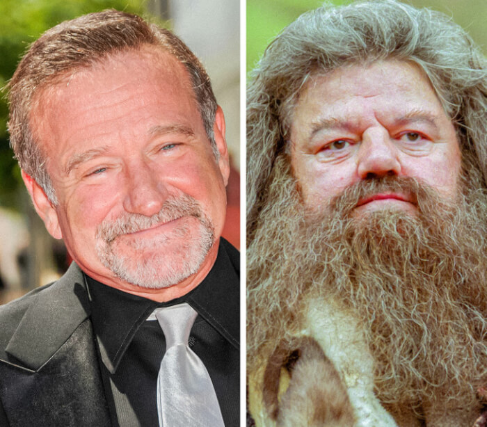 actors who almost got their dream roles, Robin Williams