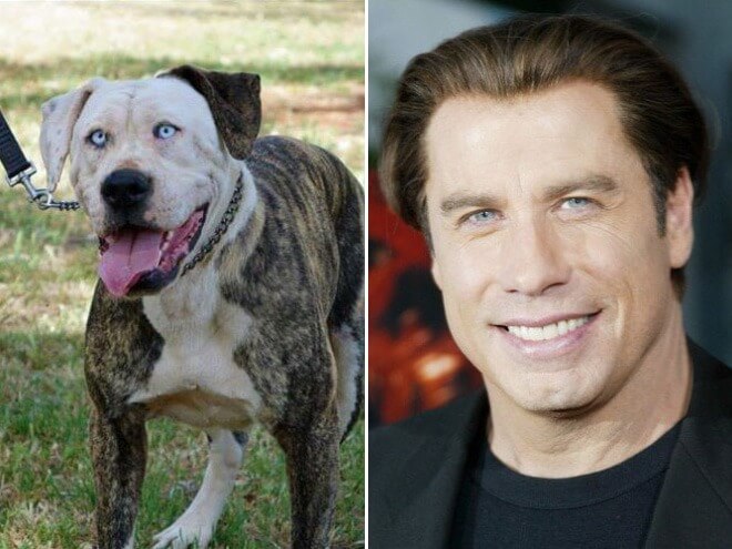 "pet" versions, John Travolta