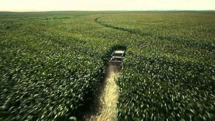 Awesome Movie Magic, Interstellar (2014): The Corn Was Planted By Christopher Nolan 3 squirrels movie